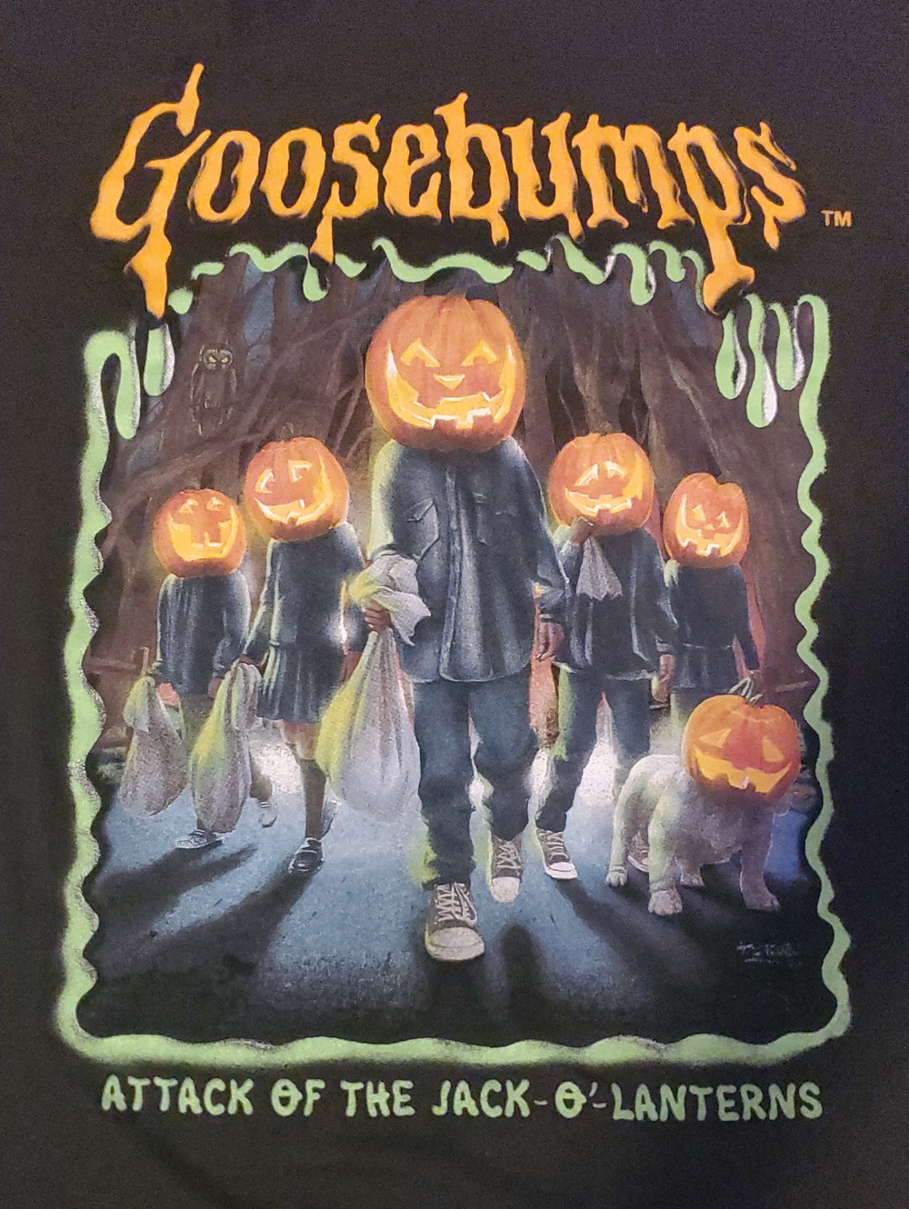 Black Goosebumps Attack of the Jack-O'-Lanterns Graphic T-shirt